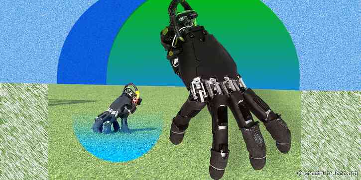 This Disembodied Hand Is All the Robot You Need