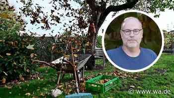 Garten-Experte aus NRW warnt: Diesen fatalen Fehler machen fast alle beim Herbst-Rückschnitt