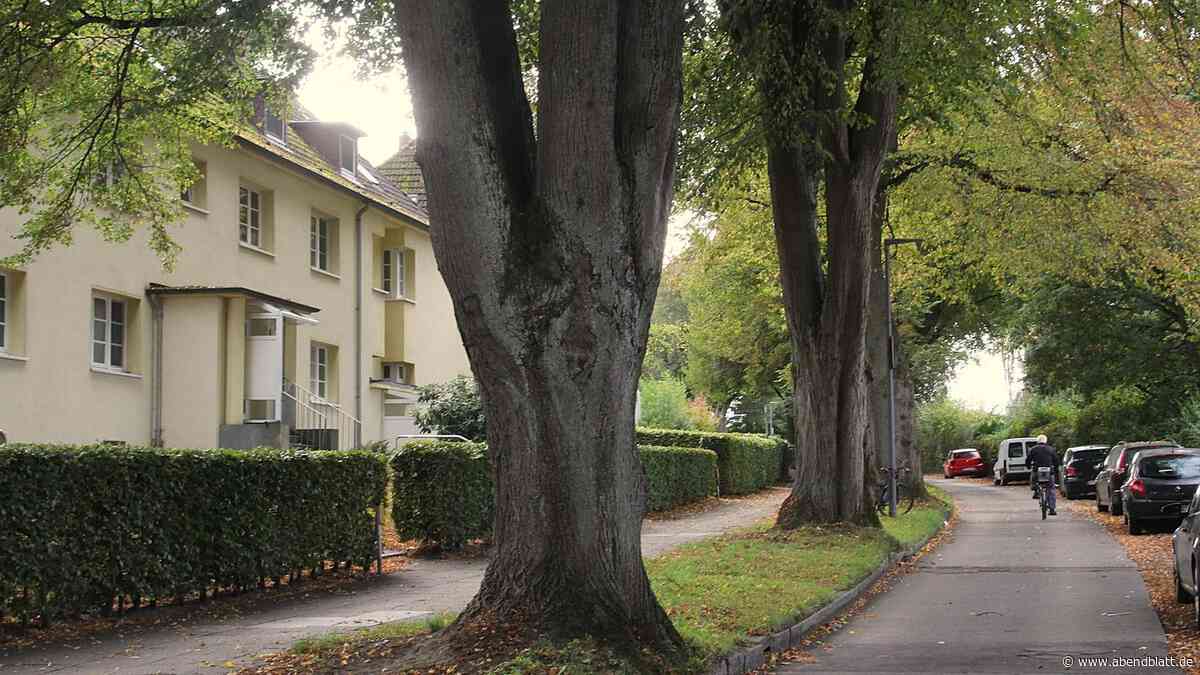 Grün, idyllisch, günstig – doch diese Häuser am Park könnten bald verschwinden