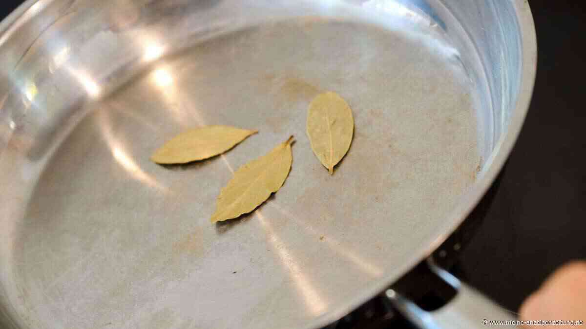 Nicht die Pfanne selbst ist giftig: Warum Umweltverbände jetzt ein Ultimatum an Tefal stellen