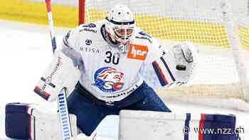«Ausrüstungsdoping» im Schweizer Eishockey? Der ZSC-Goalie Simon Hrubec spricht von «Betrug» – was steckt dahinter?