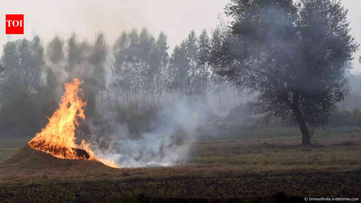 Centre asks states to go into ‘mission mode’ to curb stubble burning as farm fires rise in MP, Rajasthan