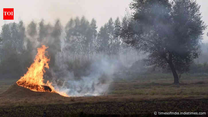 Centre asks states to go into ‘mission mode’ to curb stubble burning as farm fires rise in MP, Rajasthan