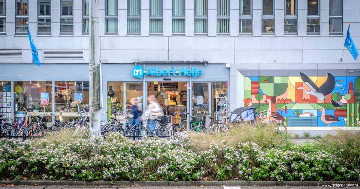 Liveblog cybercrisis bij AH | Albert Heijn: Geen aanwijzingen dat gegevens van klanten zijn gestolen