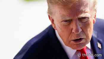Trump on Guilfoyle’s exit: ‘We didn’t like what we were reading’