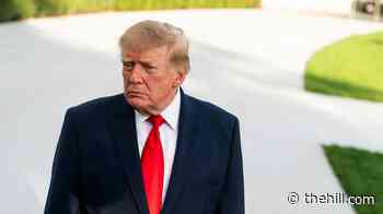 Trump set to host Kentucky midterm rally