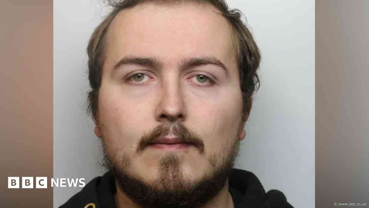 Drayton Manor worker sexually assaulted 19 girls