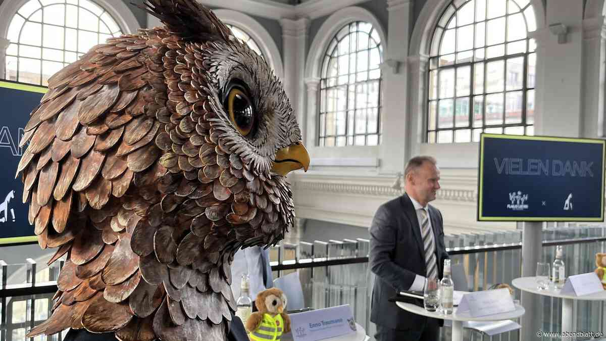 Eule mit dem Schulterblick sucht Namen – Abendblatt-Leser entscheiden