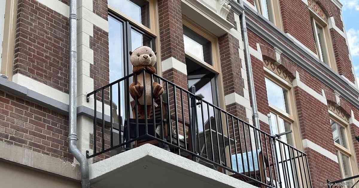 Otter vermist in Breda: Kees is van zijn balkon aan de Visserstraat verdwenen