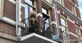 Otter vermist in Breda: Kees is van zijn balkon aan de Visserstraat verdwenen