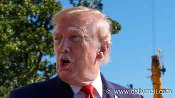 Trump erupts as 'panic' grips White House over stories of his own midterms masterminds cashing in... and Susie Wiles calls crisis meeting