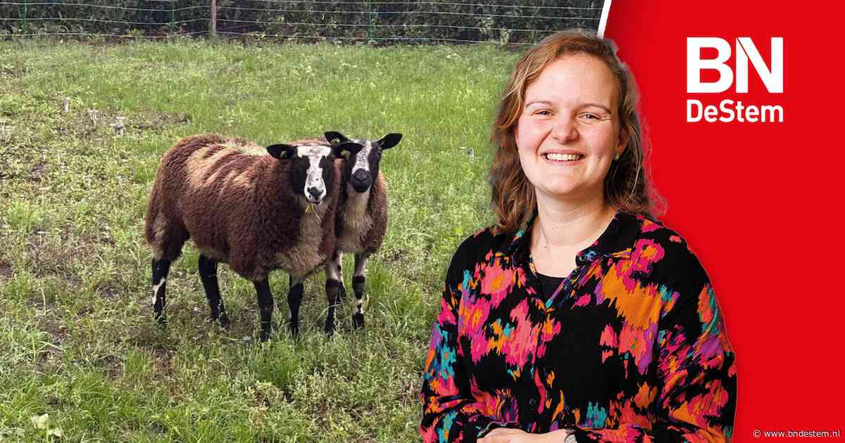 Hoe ik naast journalist ook schaapsherder werd
