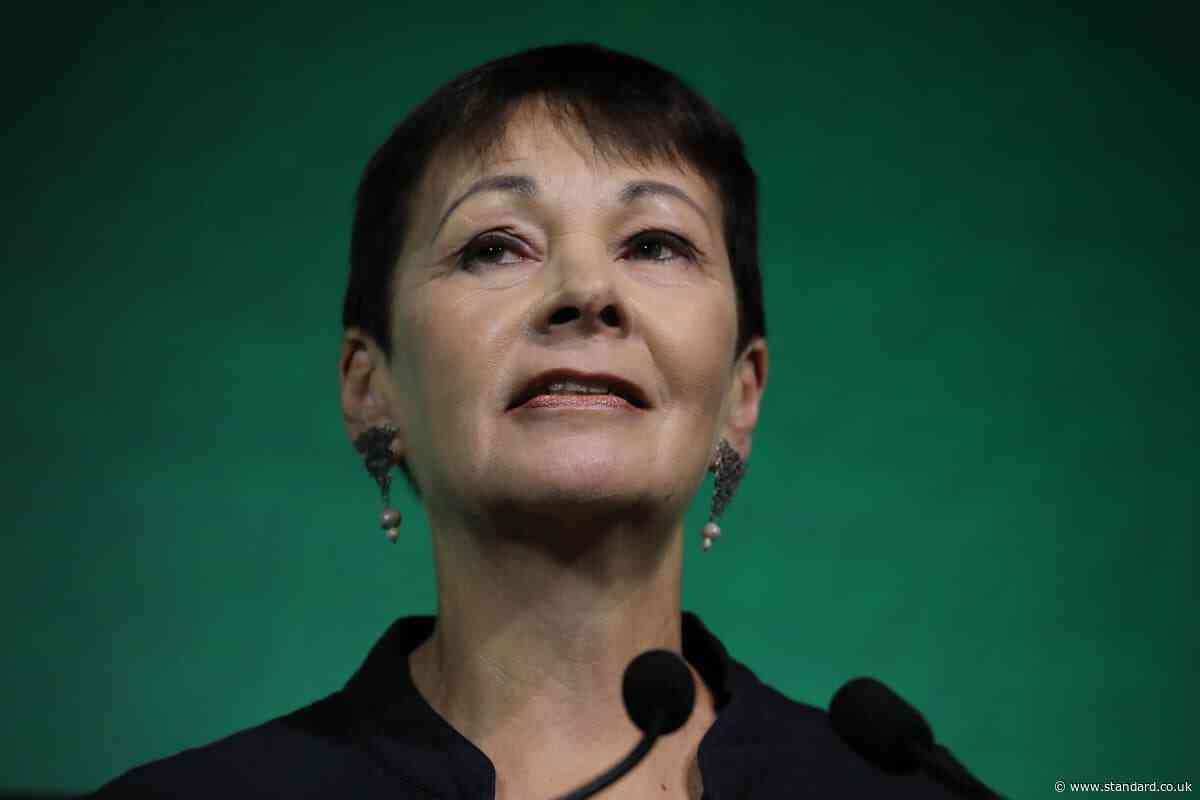 Green Party activists plotting to oust Caroline Lucas amid fallout over 'Zionism is racism' vote