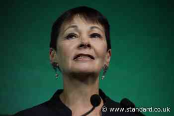 Green Party activists plotting to oust Caroline Lucas amid fallout over 'Zionism is racism' vote