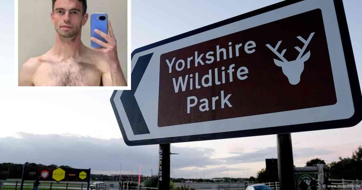 Brit filmde tijger nog live in zijn verblijf vlak voor fatale aanval, getuigen dachten dat hij een beperking had