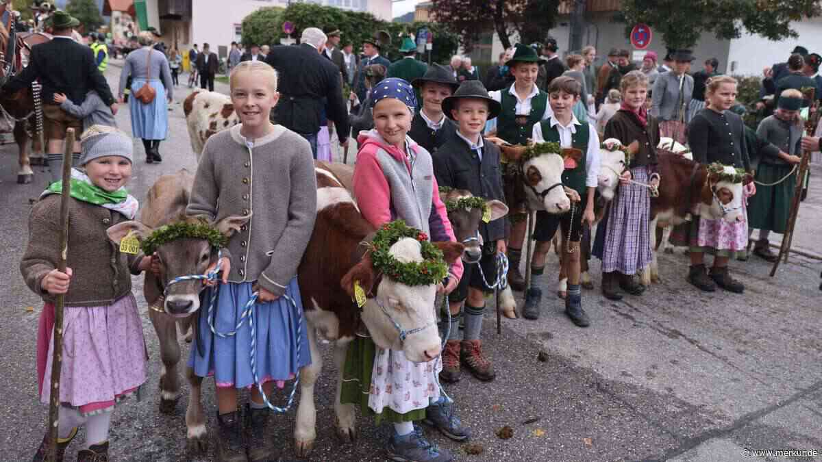 Almbauern wappnen sich gegen Trockenheit: „Mussten uns immer schon der Natur anpassen“