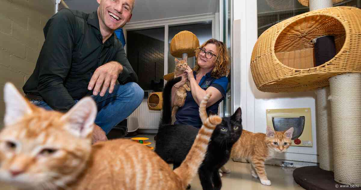 Waarom het Dierentehuis in Den Bosch uit zijn jasje groeit en nu samen met de Dierenambulance onder één dak wil