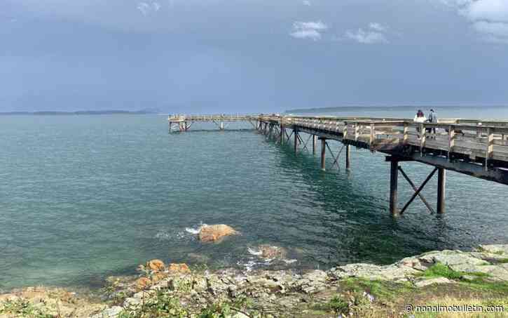 Volunteers dive into Sidney Pier waters to clean up crab trap debris 