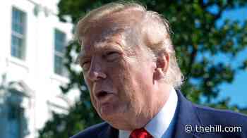 Trump: China, Russia 'have too much to lose' to help Iran