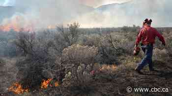How could wildfires affect Kimberley's drinking water? A $400K project aims to find out