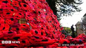 War memorials to be tidied for Remembrance Day