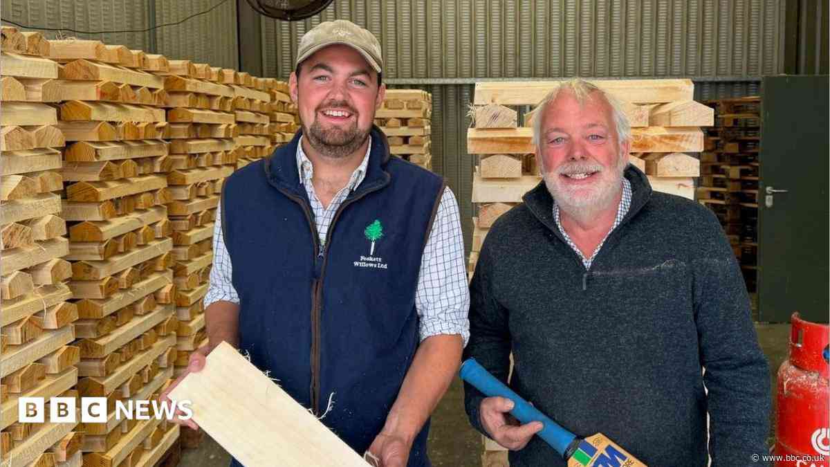 India bowled over by cricket bats made in Suffolk