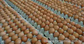 How big names in egg 'cartel' allegedly restricted supplies and blocked rivals