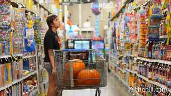 Most voters see Congress as out of touch on spending despite midterm affordability pitch