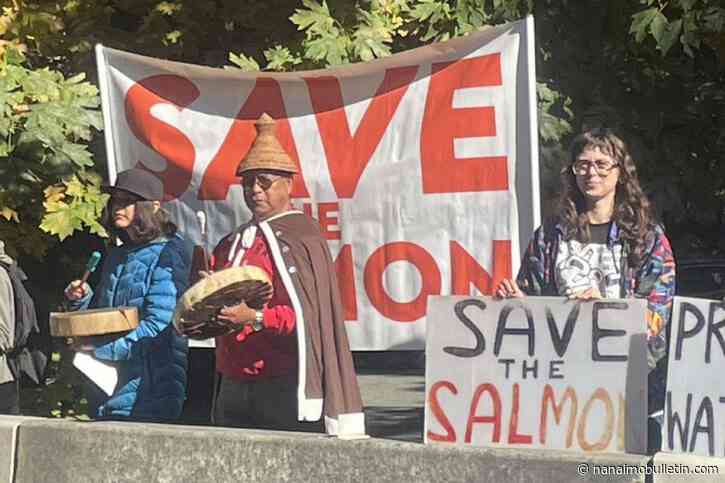 Saving salmon v. highway upgrades: Victoria students explore perspectives