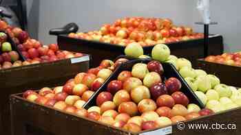 Canada, Ontario partner to invest $22M in Ontario agrifood businesses