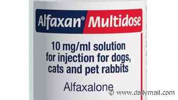 Vet nurse struck off after injecting himself with dog anaesthetic and being found naked at practice