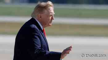 Most say Trump more interested in his wealth than helping people like them: Survey