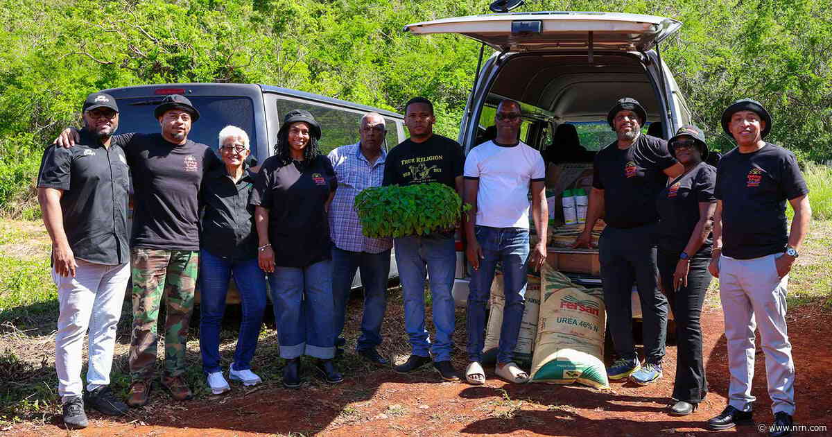 Steven Clarke is on a mission to make Jamaican food more accessible