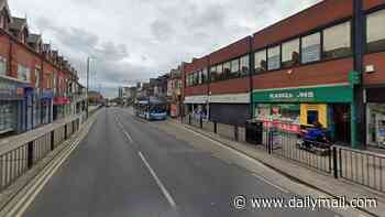 Woman, 60, dies after fight on bus: Woman in her 20s is arrested over 'manslaughter'