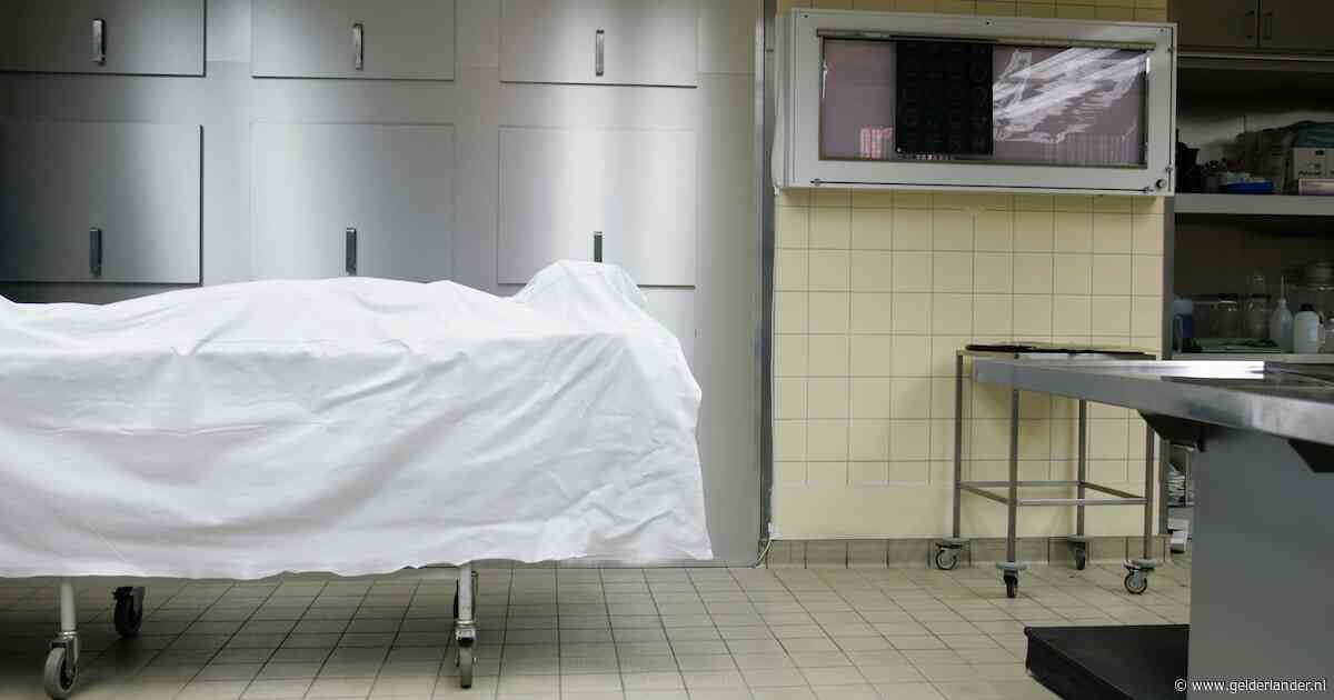Michel lag al 14 jaar in Frans mortuarium, niemand miste hem: ‘Ergens is iets heel erg misgegaan’