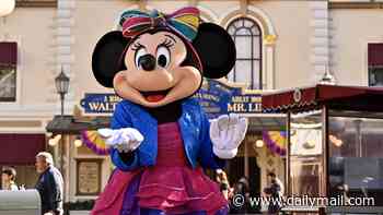 Disneyland tourists outraged over religious hecklers and shameless solicitors outside entry gates: 'ruins the mood'