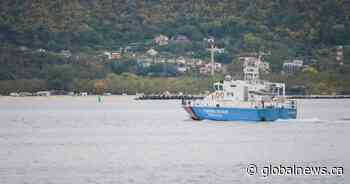 Drones sink ship in Black Sea, unclear who launched strike, Bulgaria says