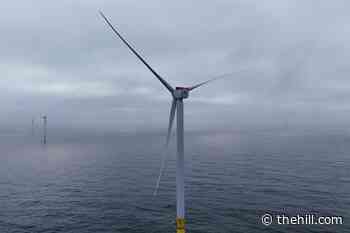 Trump administration seeks to reconsider offshore wind farm’s approval