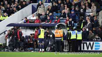 Millwall vs Swansea City match suddenly halted over racial chanting allegations