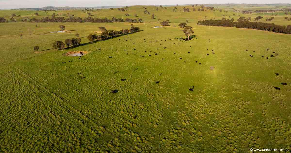 Regenerative practices drive Allendale's impressive productivity | Video