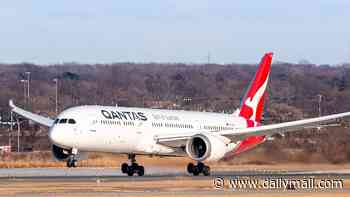 I was on the Qantas bed bug flight from hell - they crawled over our clothes, blankets and up our legs and the airline ignored our warnings