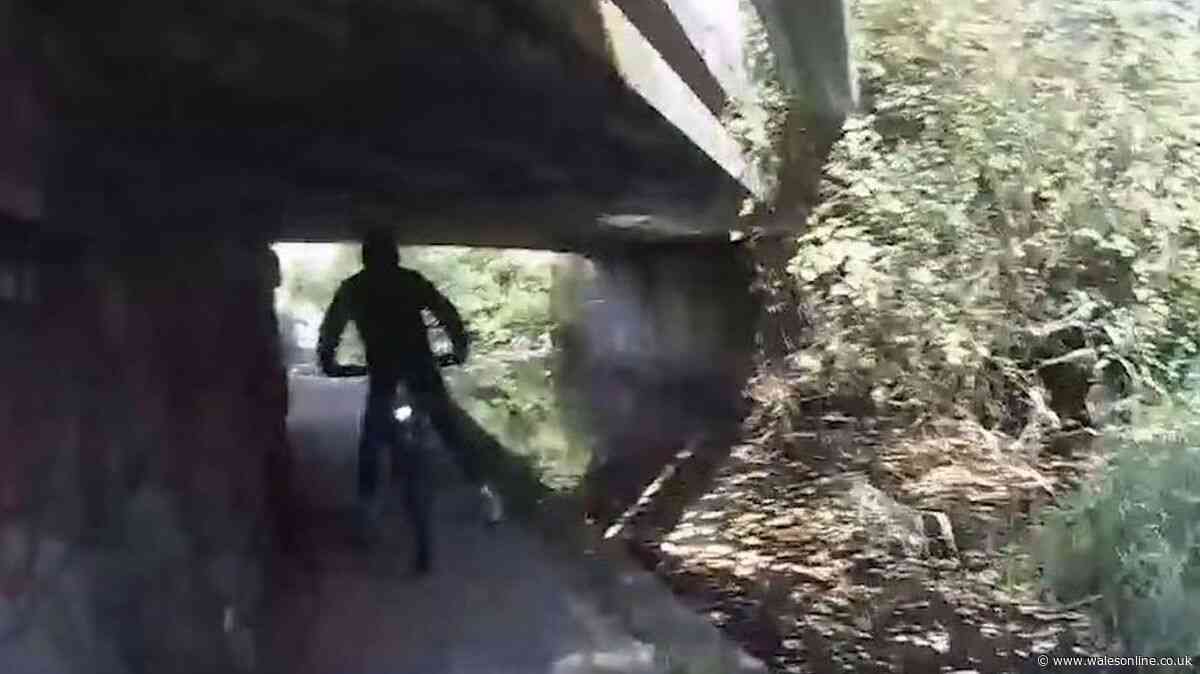 Police pounce on man riding e-bike and after canal chase