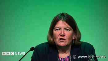 Green Party MP wants to make sure it is 'not vulnerable to extremists'