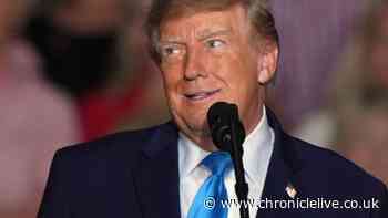 Donald Trump shares shocking video of British man killed by tiger