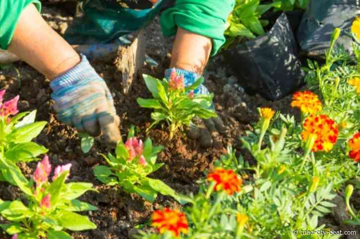 How Hands-On Hobbies Can Create A Stronger Connection To Everyday Life