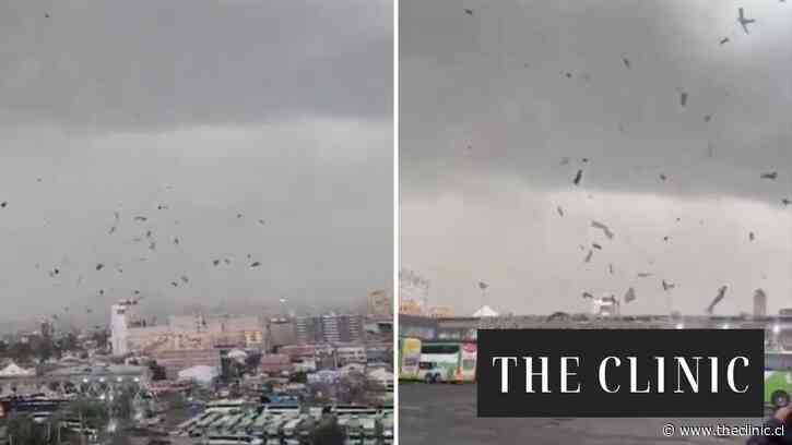 “Preliminarmente se trataría de un tornado”:  DMC explica fenómeno meteorológico que afectó al terminal de buses en Estación Central