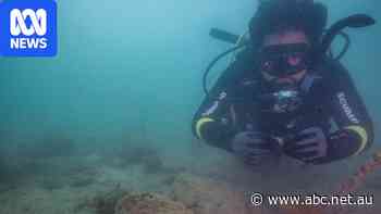 Sunken artefacts give clues to Pilbara's ancient history