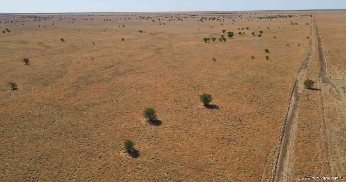 Farmers take on northern cattle backgrounding property Innisfail Downs