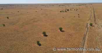 Farmers take on northern cattle backgrounding property Innisfail Downs