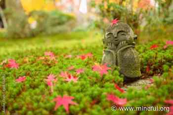 Garden Meditation: A Simple Outdoor Practice for Presence and Awe